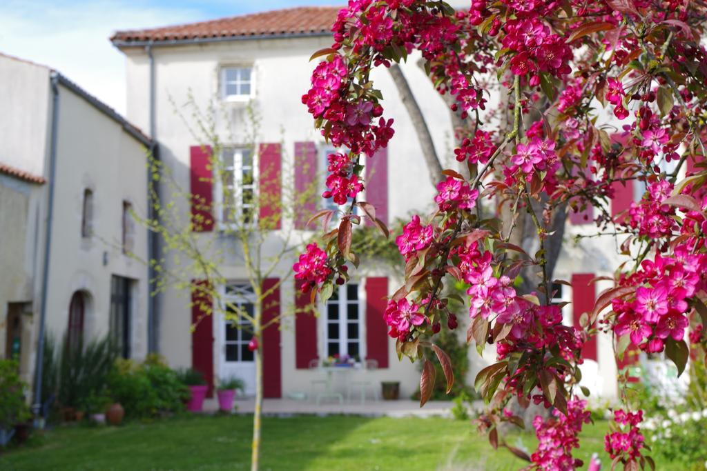 Vouhé Le Logis De La Poupeliere Bed & Breakfast エクステリア 写真