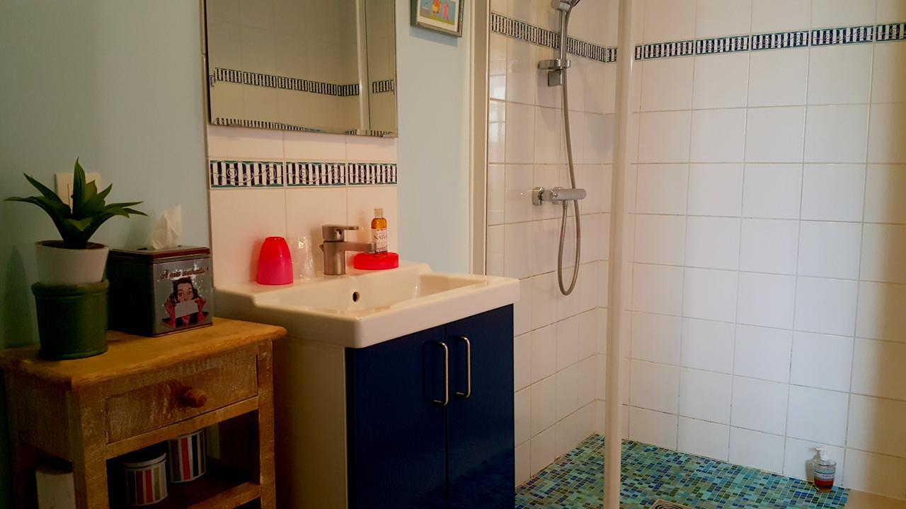 Vouhé Le Logis De La Poupeliere Bed & Breakfast エクステリア 写真