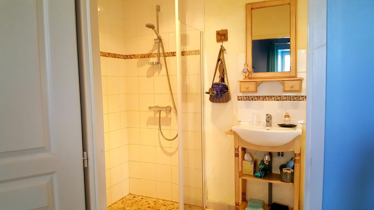 Vouhé Le Logis De La Poupeliere Bed & Breakfast エクステリア 写真