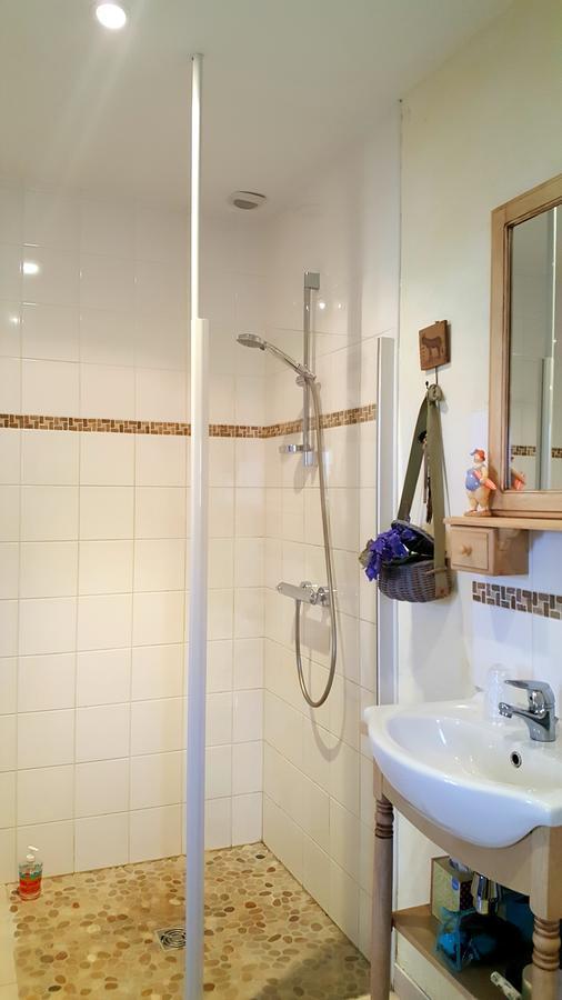 Vouhé Le Logis De La Poupeliere Bed & Breakfast エクステリア 写真